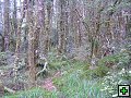 thn_NZ leden-unor 2006 292.jpg